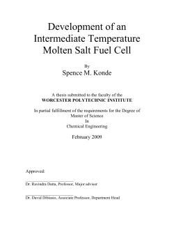Development of an Intermediate Temperature Molten Salt Fuel Cell