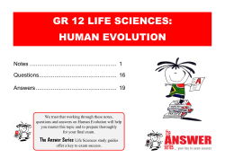 human evolution - The Answer Series