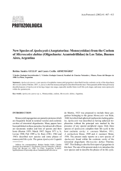 New Species of Apolocystis (Aseptatorina: Monocystidae) from the