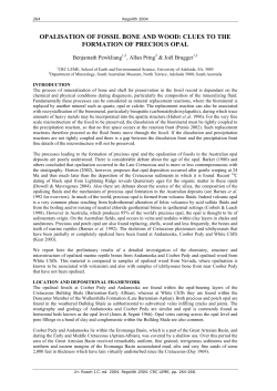 opalisation of fossil bone and wood