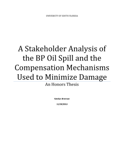 A Stakeholder Analysis of the BP Oil Spill and the