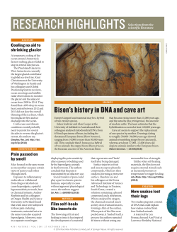Bison`s history in DNA and cave art