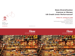 Does Diversification Improve or Worsen US Credit Union