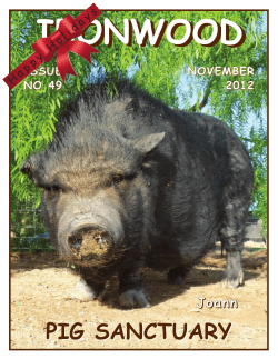 Ironwood Pig Sanctuary
