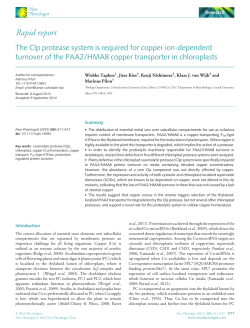 - Wiley Online Library