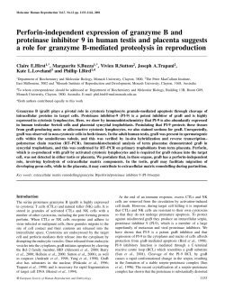 Perforin-independent expression of granzyme B