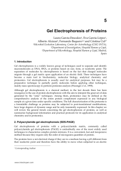 Gel Electrophoresis of Proteins