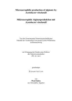 Microaerophilic production of alginate by Azotobacter vinelandii