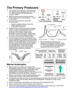 The Primary Producers - Glendale Community College
