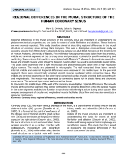 regional differences in the mural structure of the human