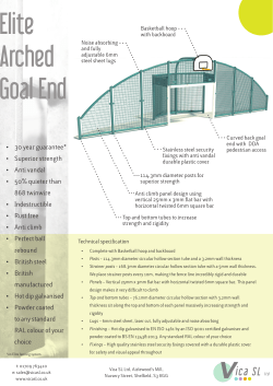 Elite Arched Goal End