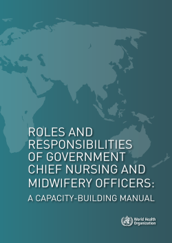 roles and responsibilities of government chief nursing and midwifery