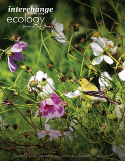 Spring Interchange 2014