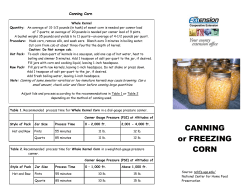 CANNING CORN - Marinette County