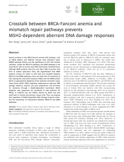 Crosstalk between BRCAFanconi anemia and mismatch repair