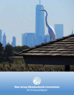 New Jersey Meadowlands Commission