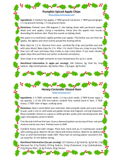 Pumpkin-Spiced Apple Chips Honey