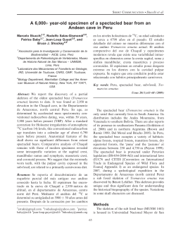 View PDF - International Association for Bear Research