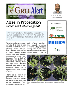 Algae in Propagation - e-GRO