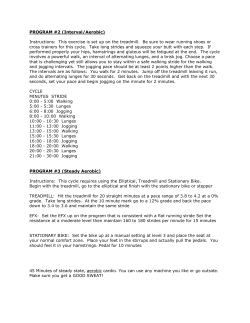 PROGRAM #2 (Interval/Aerobic)