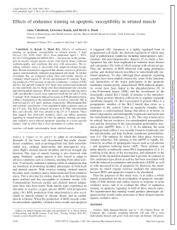 Effects of endurance training on apoptotic susceptibility in striated