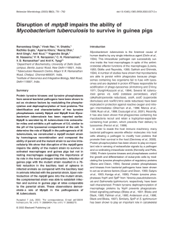Disruption of mptpB impairs the ability of Mycobacterium