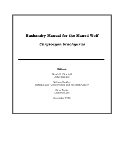 Husbandry Manual for the Maned Wolf Chrysocyon