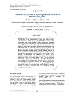 The four new species of Myxomycetes of South-East