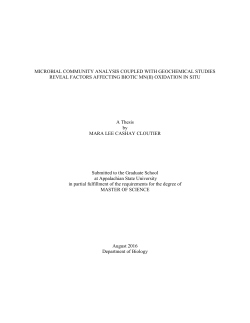 Microbial Community Analysis Coupled With Geochemical Studies