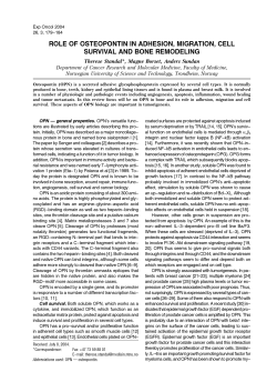 role of osteopontin in adhesion, migration, cell survival and bone
