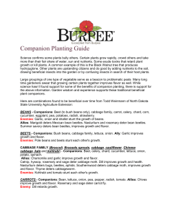 Companion Planting Guide