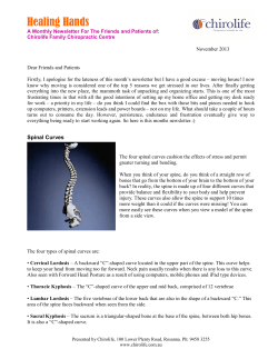 11 Chirolife Newsletter November 2013