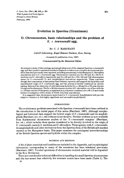 Evolution in Spartina (Gramineae): II. Chromosomes, basic