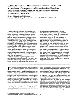 Cell Size Regulation, a Mechanism That Controls Cellular RNA