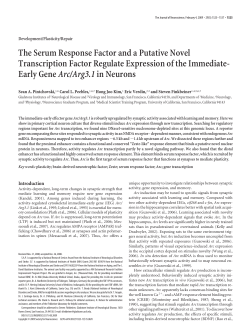 The Serum Response Factor and a Putative Novel Transcription