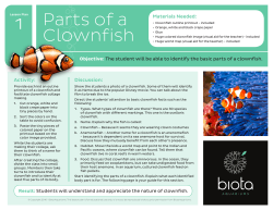 Parts of a Clownfish