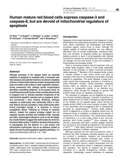 Human mature red blood cells express caspase-3 and