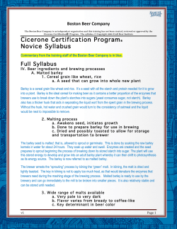 Boston Beer Study Guide #4 Beer Ingredients