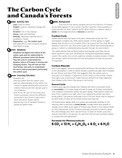 The Carbon Cycle and Canada`s Forests
