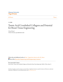 Tannic Acid Crosslinked Collagens and Potential for