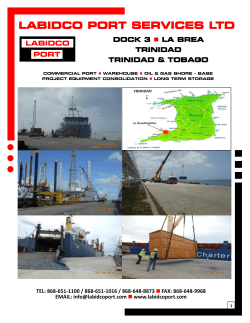labidco port services ltd