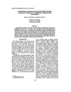 Autorhythmic Contractions of the Postnatal Rabbit Testicular