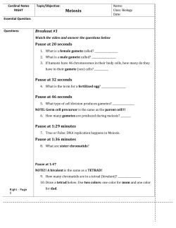 Meiosis