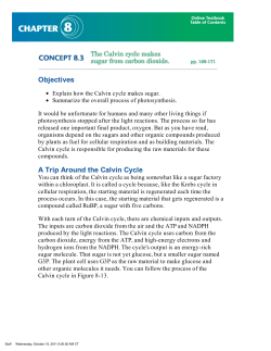 Chapter 8: Concept 8.3