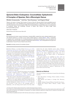 Epiverta Dieke (Coleoptera: Coccinellidae: Epilachnini): A Complex