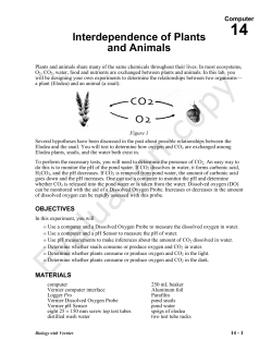 Interdependence of Plants and Animals