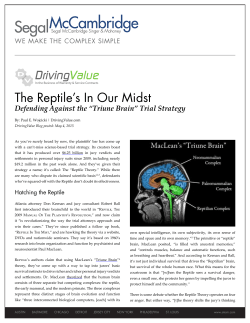The Reptile`s In Our Midst
