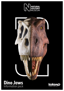 Dino Jaws - Natural History Museum