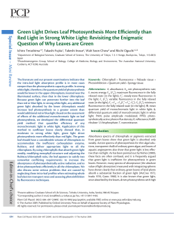 Green Light Drives Leaf Photosynthesis More