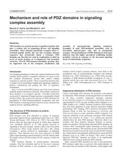 PDF - Lim Lab